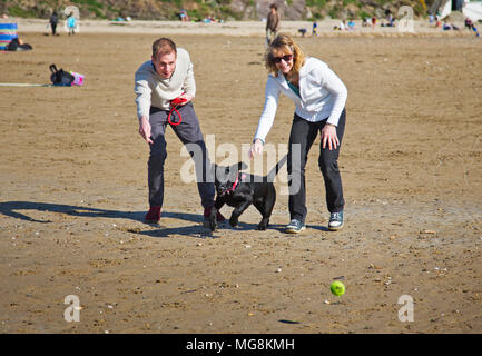 Ein paar Werfen einer Kugel für einen Hund auf ein kornisches Strand Stockfoto