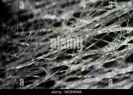 Feuchttuch Gewebe unter dem Mikroskop. Closeup Makro Fotografie. Stockfoto