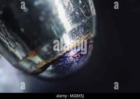 Blauen Stift Tipp unter dem Mikroskop. Closeup Makro Fotografie. Stockfoto