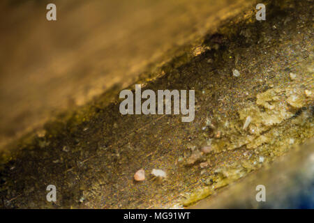 Metall key Oberfläche unter dem Mikroskop. Closeup Makro Fotografie. Stockfoto