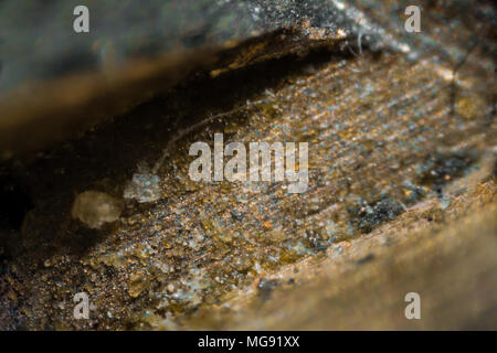 Metall key Oberfläche unter dem Mikroskop. Closeup Makro Fotografie. Stockfoto