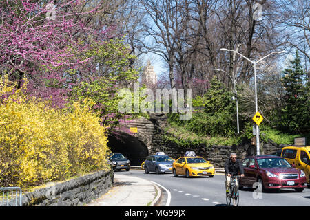Der Verkehr auf der 86th Street quer durch den Central Park, New York City, USA Stockfoto