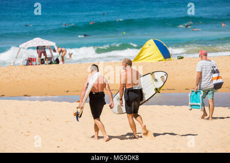 Australische Männer mittleren Alters, die ihre surfbretter auf Norden Curl Curl Beach in Sydney, Australien Stockfoto