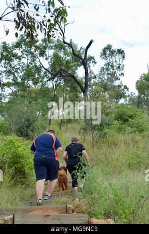 Leute und ein Hund wandern im Wald, Mount Stuart Wanderwege, Townsville, Queensland, Australien Stockfoto