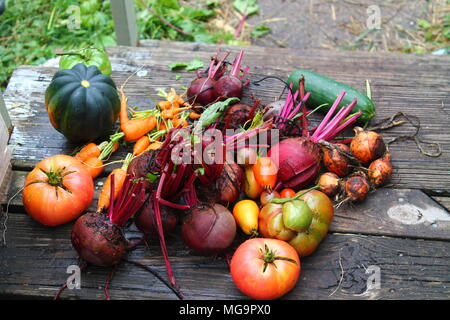 Lebendige produzieren Stockfoto