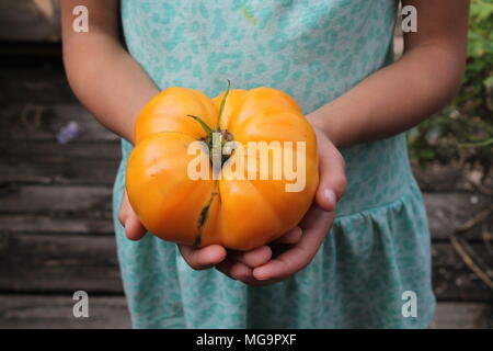 Vibrieren produzieren Stockfoto