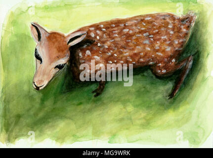 Junge fawn deer auf grünem Gras watercolor Illustration, Ansicht von oben, Stockfoto