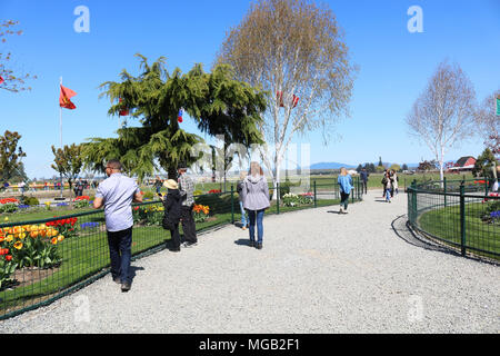 Kies weg mit Touristen in der International Peace Garden an Tulip Stadt suchen während der skagit Valley Tulip Festival in Mount Vernon, Washin Stockfoto