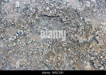 Die flache Steinplatte im Hintergrund Stockfoto
