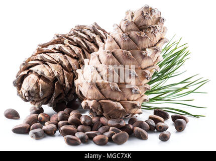 Pinienkernen Kegel und Pinienkerne auf dem weißen Hintergrund. Ökologische Lebensmittel. Stockfoto