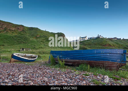 Ein paar der alten, verlassenen offene hölzerne Fischerboote liegen am Strand unterhalb der Klippen Dorf Auchmithie, in der Nähe von Arbroath, in Angus, Schottland. Stockfoto