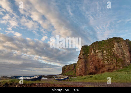 Ein Paar der alten schottischen hölzerne Fischerboote liegen unterhalb der Klippen auf auchmithie Strand vor der Ostküste Schottlands, in der Nähe von Arbroath. Stockfoto