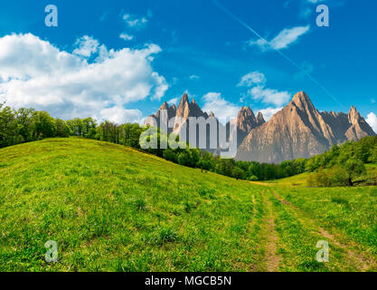 Zusammengesetzte Sommerlandschaft. Pfad durch den Wald auf grasbewachsenen Hügel in der hohen Tatra. schöne Sommerwetter mit blauen Himmel und einige Wolken Stockfoto