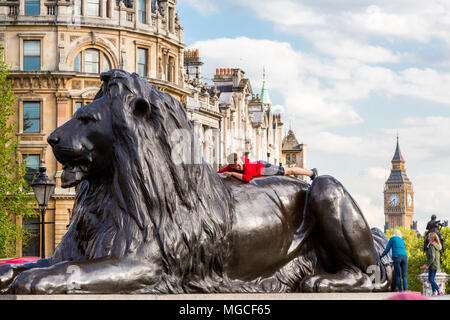 London, Großbritannien, 13. Mai 2015: Eine touristische spielt auf einer der Löwen in Trafalgar Square im Anblick von Big Ben. Stockfoto