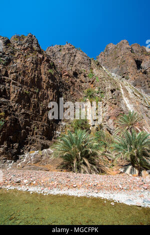 Die schöne Natur der Insel Socotra, Jemen Stockfoto