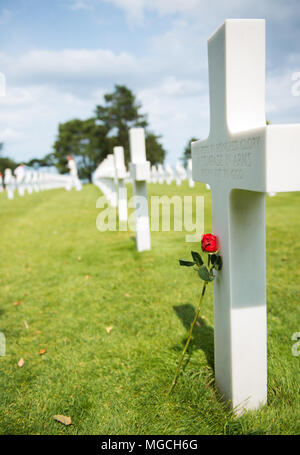 Eine einzelne Rose an einem Kreuz in einem britischen Soldatenfriedhof in der Normandie, Frankreich. Stockfoto