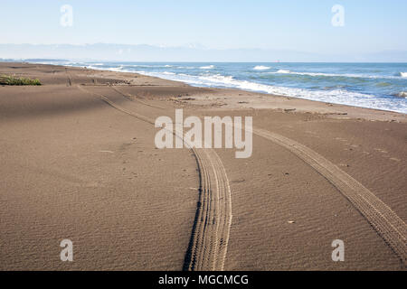 Die Spuren der Reifen am Sandstrand, Poti, Georgia. Stockfoto
