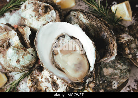 Shell Austern mit Zitrone und Salz auf ein Brett öffnen Stockfoto