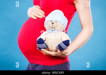 Die Frau in der Schwangerschaft Holding flauschige Spielzeug Teddy, Konzept der erwartet für das Baby und die Familie Stockfoto