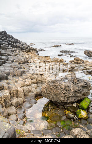 Antrim/N. Irland - 30. Mai 2015: Giant's Causeway, ein Wunder der Natur durch vulkanische, Sechskant basalt Rock ins Meer fließt. Antrim. Stockfoto