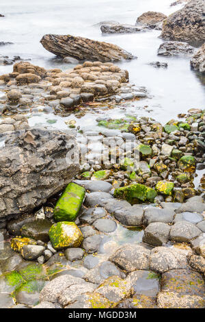 Antrim/N. Irland - 30. Mai 2015: Giant's Causeway, ein Wunder der Natur durch vulkanische, Sechskant basalt Rock ins Meer fließt. Antrim. Stockfoto