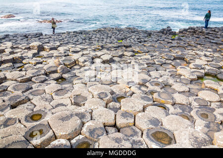 Antrim/N. Irland - 30. Mai 2015: Giant's Causeway, ein Wunder der Natur durch vulkanische, Sechskant basalt Rock ins Meer fließt. Antrim. Stockfoto