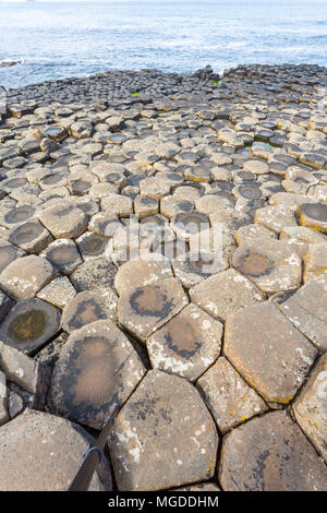 Antrim/N. Irland - 30. Mai 2015: Giant's Causeway, ein Wunder der Natur durch vulkanische, Sechskant basalt Rock ins Meer fließt. Antrim. Stockfoto