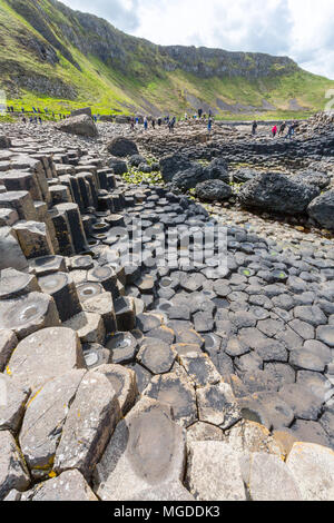 Antrim/N. Irland - 30. Mai 2015: Giant's Causeway, ein Wunder der Natur durch vulkanische, Sechskant basalt Rock ins Meer fließt. Antrim. Stockfoto