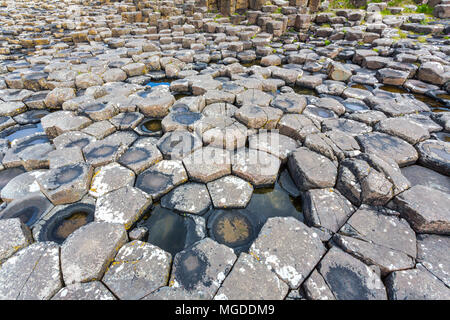 Antrim/N. Irland - 30. Mai 2015: Giant's Causeway, ein Wunder der Natur durch vulkanische, Sechskant basalt Rock ins Meer fließt. Antrim. Stockfoto