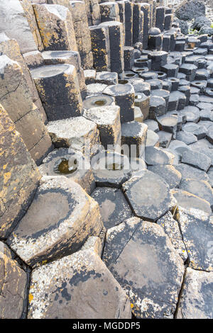 Antrim/N. Irland - 30. Mai 2015: Giant's Causeway, ein Wunder der Natur durch vulkanische, Sechskant basalt Rock ins Meer fließt. Antrim. Stockfoto