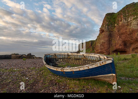 Eine alte hölzerne Schottische Fischerboot, lange verlassen, liegt am Kieselstrand von dem Fischerdorf Auchmithie, in der Nähe von Arbroath in Angus, Schottland. Stockfoto