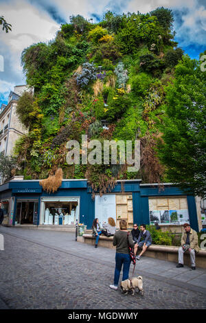 L'Oasis d'Aboukir, un Mur végétal de 250 m2 en Plein Coeur de Paris. Stockfoto