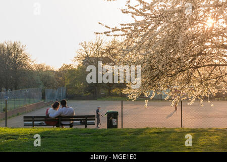 Ein interracial Paare teilen ein Getränk und jede andere Firma unter einem blühenden Kirschbaum in einem Londoner Park als die Sonne genießen geht nach unten Stockfoto