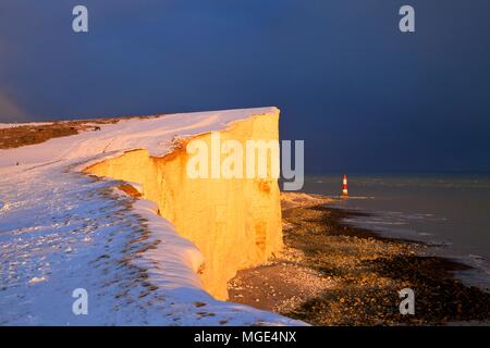 Pferde auf Schneebedeckten Beachy Head und Leuchtturm, Eastbourne Downland Immobilien, Eastbourne, East Sussex, Großbritannien Stockfoto
