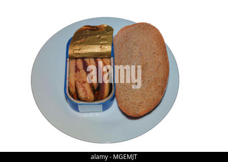 Kann der Sardinen auf eine weiße Platte mit einer Scheibe Brot. Stockfoto