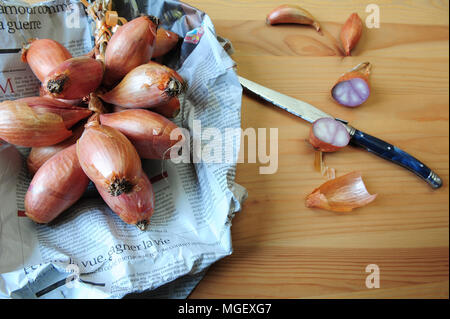 Echalotes du Marais von Cherrueix eingewickelt in eine Zeitung, Bretagne, Frankreich Stockfoto