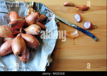 Echalotes du Marais von Cherrueix eingewickelt in eine Zeitung, Bretagne, Frankreich Stockfoto