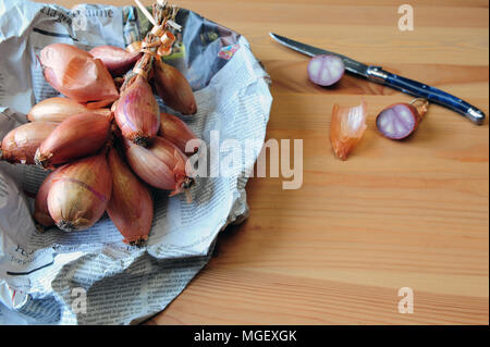 Echalotes du Marais von Cherrueix eingewickelt in eine Zeitung, Bretagne, Frankreich Stockfoto