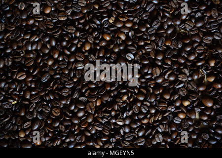 Frisch geröstete öligen Kaffeebohnen, verschüttete für Hintergrund Stockfoto