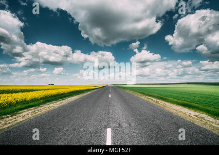 Öffnen Asphalt Landschaft Straße durch Felder mit gelb blühende Raps Rapecolza Raps im Frühjahr. Sonnigen Tag weißen Wolken am blauen Himmel Stockfoto