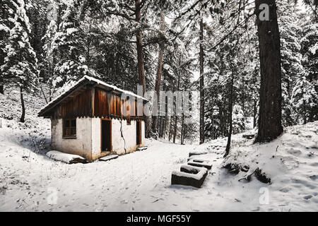 Verlassene Hütte in einem Wald mit Schnee bedeckt Stockfoto