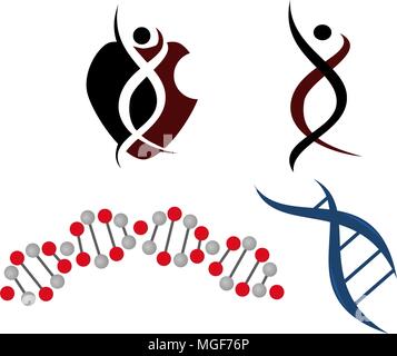 DNA Genetics Vorlage festlegen Stock Vektor