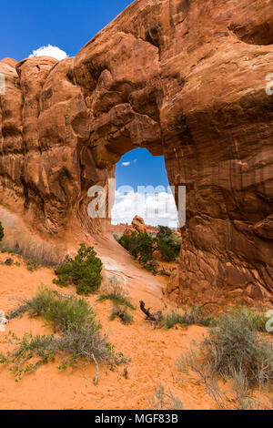 Pine Tree Arch, Arches-Nationalpark, Utah, USA Stockfoto