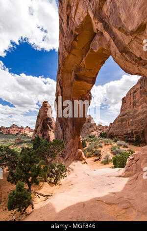 Pine Tree Arch, Arches-Nationalpark, Utah, USA Stockfoto