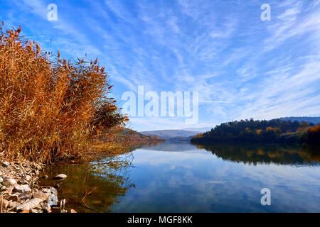 Eine schöne und friedliche Aussicht auf einen See, Schilf und Bäume im frühen Morgen Sonnenaufgang mit lebendigen Farben Stockfoto