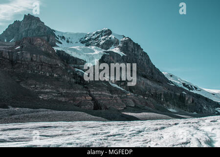 Athabasca Gletscher der Columbia Icefield, Alberta, Kanada Stockfoto