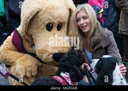 Windsor Great Park, UK. 28. April 2018. Die TV-Moderatorin Rachel Riley bereitet spaniel Ginny auf dem Großen Britischen Hund zu führen zugunsten der Anhörung Hunde für gehörlose Menschen im Windsor Great Park entfernt. Die Veranstaltung, ein Spaß liebe Hund gehen für alle Altersgruppen, die Kapital und das Bewusstsein für die Liebe, die Hunde Züge nicht nur zu helfen gehörlose Menschen ein erfülltes Leben durch permanente, lebenslange Begleitung führen, sondern auch die Geräusche wie Rauchmelder, Türklingeln, Backofen Timer und Wecker aufmerksam zu machen. Credit: Mark Kerrison/Alamy leben Nachrichten Stockfoto