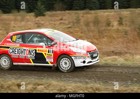Kielder Forest, Northumberland, Großbritannien, 28. April 2018. Rallye Fahrer konkurrieren in der Pirelli internationale Rallye und der zweiten Runde der Prestone World Rally Championship. (Spezielle Phase 1 - Pundershaw 1). Andrew Cheal/Alamy leben Nachrichten Stockfoto