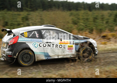Kielder Forest, Northumberland, Großbritannien, 28. April 2018. Rallye Fahrer konkurrieren in der Pirelli internationale Rallye und der zweiten Runde der Prestone World Rally Championship. (Spezielle Phase 1 - Pundershaw 1). Andrew Cheal/Alamy leben Nachrichten Stockfoto
