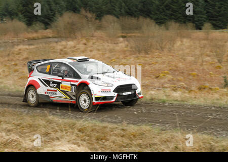 Kielder Forest, Northumberland, Großbritannien, 28. April 2018. Rallye Fahrer konkurrieren in der Pirelli internationale Rallye und der zweiten Runde der Prestone World Rally Championship. (Spezielle Phase 1 - Pundershaw 1). Andrew Cheal/Alamy leben Nachrichten Stockfoto